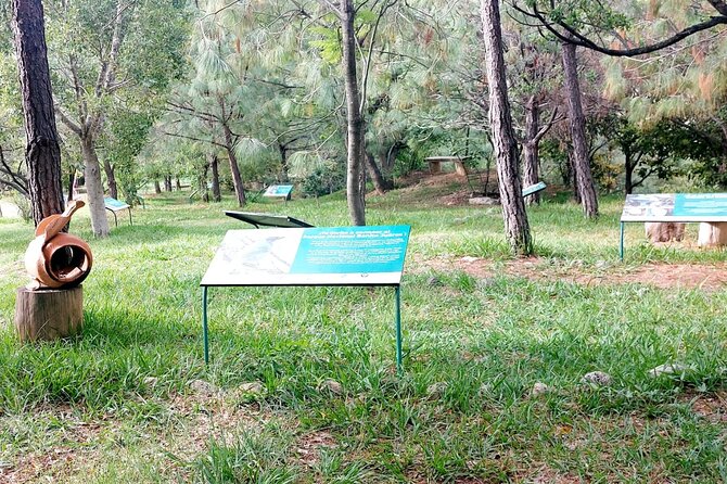 Wild Agaves Hiking Experience in Oaxaca - Visiting a Family-Run Agave Cultivation Site