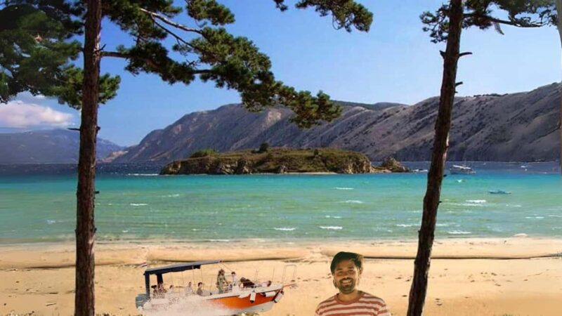 Wild Bays and Plavnik Island: A whole day private boat tour - Key Points