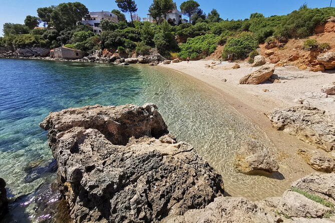 Wild Beaches & Snorkeling Tour - Discover Sardinia’s Hidden Coastlines and Marine Environment