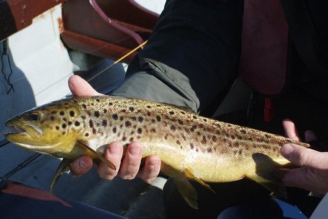 Wild Brown Trout fishing. Lough Corrib. French speaking Ghillie/Guide. Full day. - What’s Included and What to Prepare For