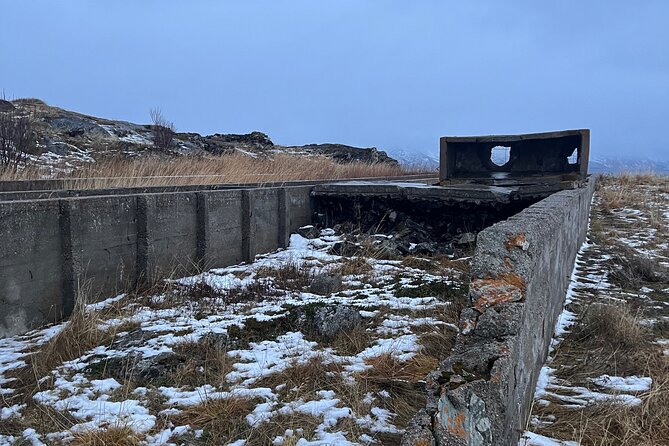 Wild Coast and WW2 History Tour on ATV - The ATV Experience and Scenic Views