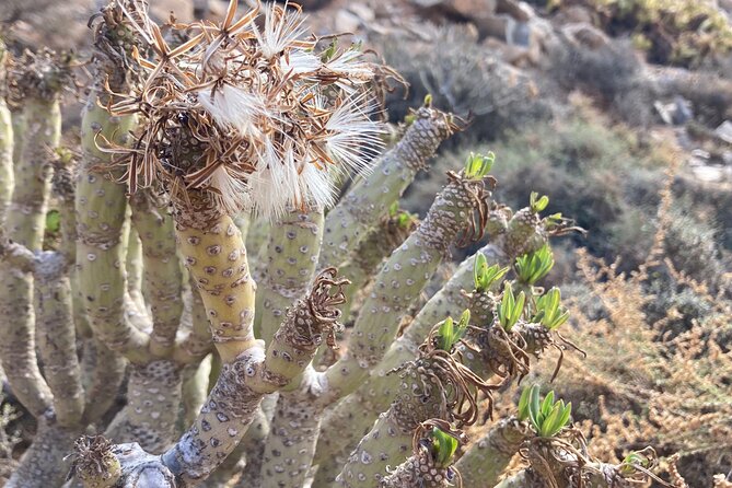 Wild coast nature experience and legends - Key Points