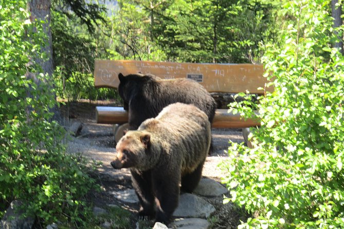 Wild Current Canoe Adventure Join a small group - The Shore-side Break and Refreshments