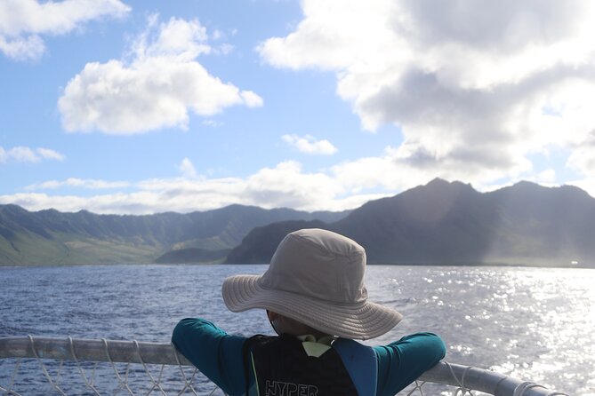 Wild Dolphin Swim, Turtle, Whale Safari with Guided Snorkeling - Expert Guides and Scientific Insights at the Helm