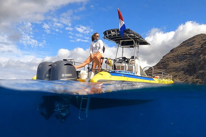 Wild Dolphin Watching and Snorkel Safari Off West Coast of Oahu - Discover the Wild Dolphin Watching and Snorkel Safari Off West Coast of Oahu