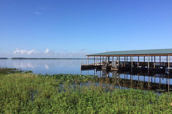 Wild Florida Adventure Package Tour with Transportation - The Wildlife Park and Cypress Forest Walks