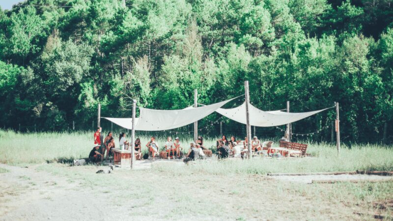 Wild Forest Reserve Foundation - Visit - Free Time at the Farm Animal Area