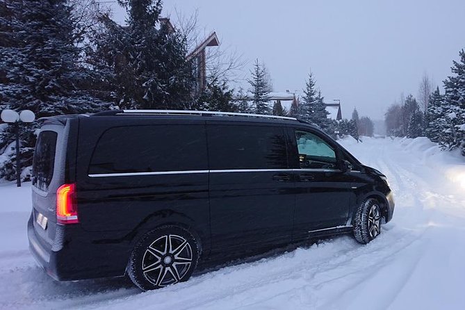 Wild Reindeers Safari + Lunch in Glass Igloo (private service) - Limitations and Considerations for Participants