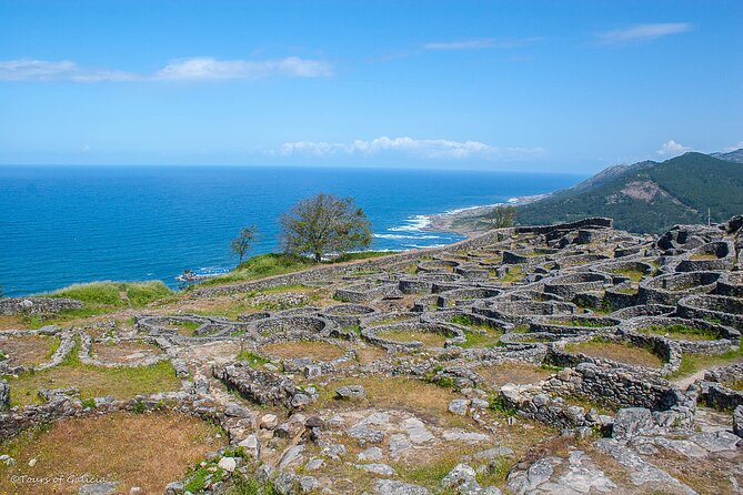 Wild Southern Atlantic Coast Private Tour from Vigo - Logistics and Comfort: Vehicle, WiFi, and Refreshments