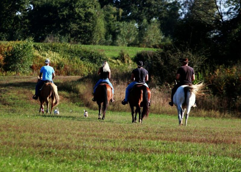 Wild Spring Ranch near Plitvice Lakes, Croatia, Horse Riding - The Scenic Setting of Wild Spring Ranch in Zagreb County
