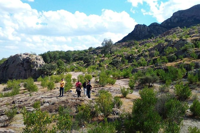 Wild West Riding Tour - Tour Flexibility and Cancellation Policy