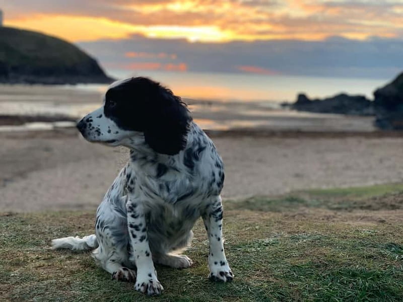 Wild west: Tour Cornwall`s rugged west coast. - The Artistic Inspiration of St. Ives