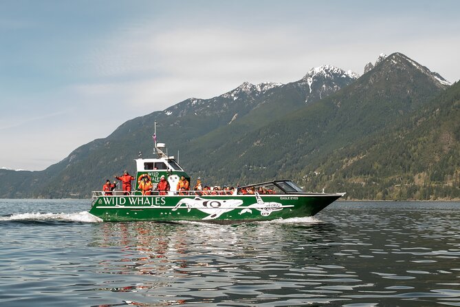 Wild Whale Watching Experience - Open Air Vessel - Exciting Wildlife Encounters on a 5-Hour Vancouver Whale Tour