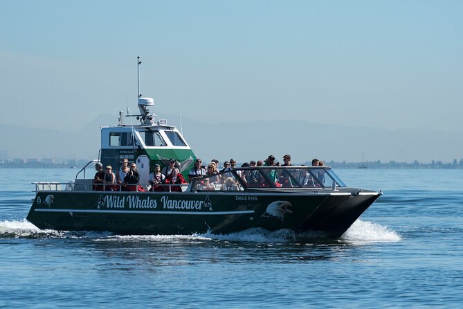 Wild Whale Watching Experience - Open Air Vessel - Closer Wildlife Approach with Legal Advantages