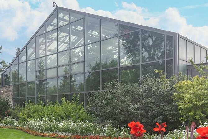 Wilder Institute/Calgary Zoo: Entry Ticket - The Penguin Plunge: Antarctic and Peruvian Penguins