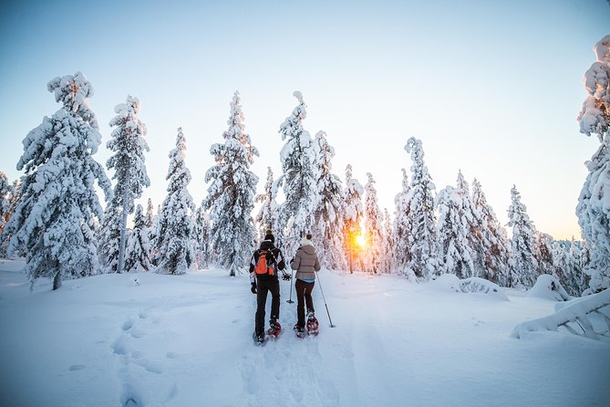 Wilderness snowshoe adventure - Explore Rovaniemis Arctic Wilderness with a Snowshoe Adventure