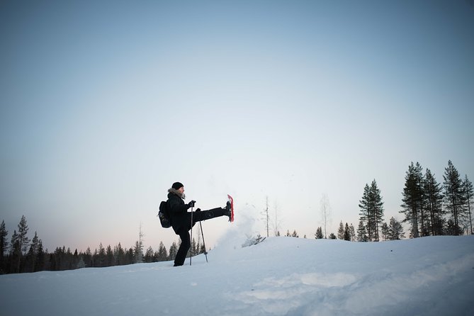 Wilderness snowshoe adventure - Wildlife Watching in the Arctic Wilderness