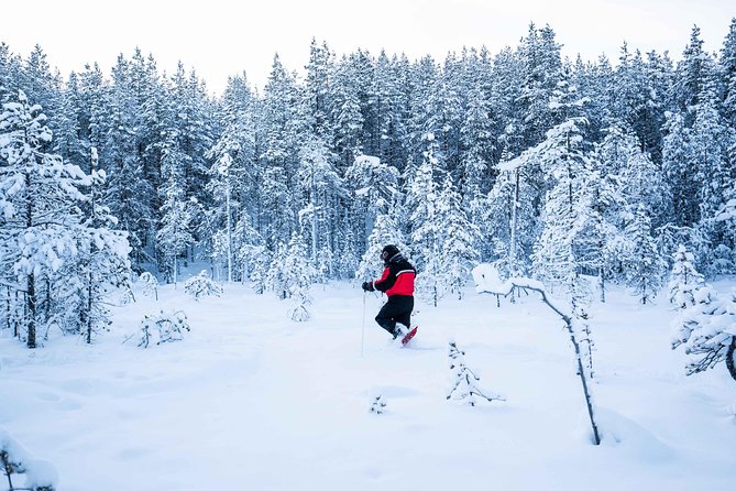 Wilderness snowshoe adventure - Physical Requirements and Suitability