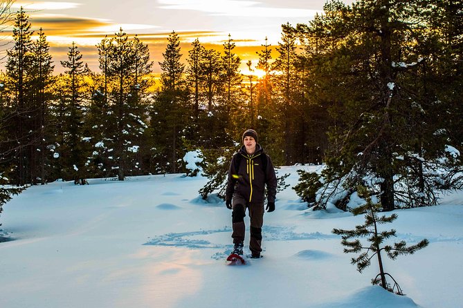 Wilderness snowshoe adventure - Comparing This Tour to Other Arctic Excursions