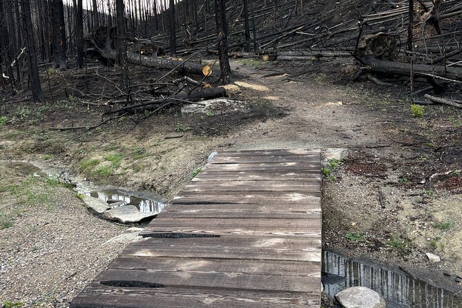 Wildfire Peak Nic - The Hot Lunch and Ecological Insights