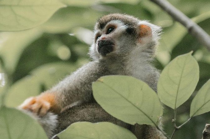 Wildlife and Ancient Expedition Tour in Teotihuacan Safari - Frequently Asked Questions