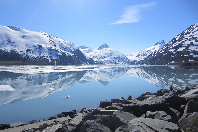 Wildlife and Glaciers with a walk in the Rainforest - Exploring Potage Glacier and Surrounding Glacial Views