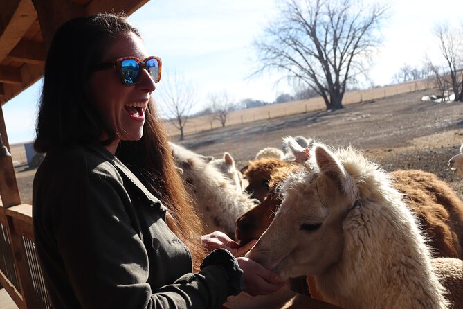 Wildlife Biologists Guide to the Black Hills: Private Tour - Exploring Custer State Park’s Wildlife and Landscapes