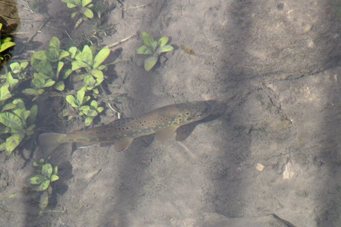 Wildlife Biologists Guide to the Black Hills: Private Tour - Practical Logistics and Comfort