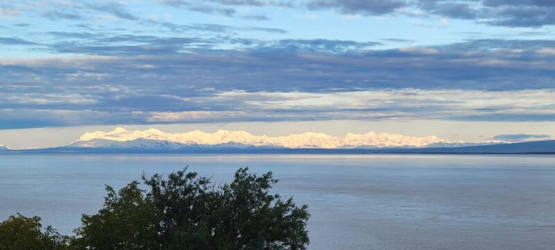 Wildlife Center with Lunch & Local Beer Sampling - What’s Included and What’s Not