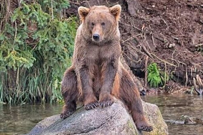 Wildlife Conservation Center & Portage Valley Glaciers - Key Points