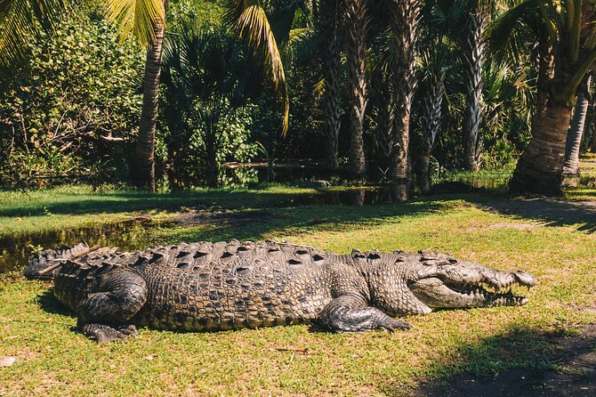 Wildlife Eco Tour on the coast of Oaxaca. - Discover the Wildlife Eco Tour on Oaxaca’s Coast for Just $48