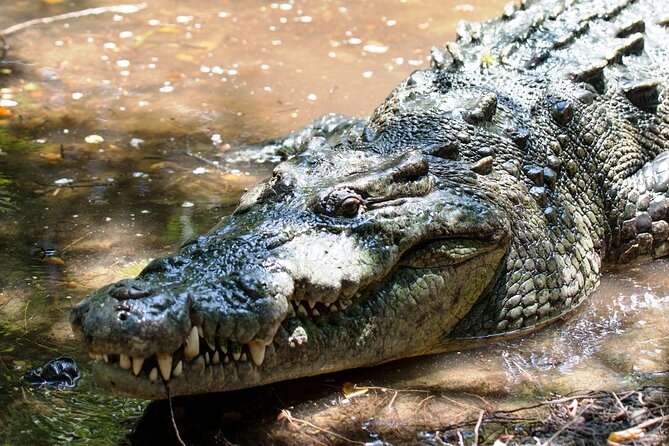 Wildlife Eco Tour on the coast of Oaxaca. - Starting Point and Logistics of the Wildlife Eco Tour