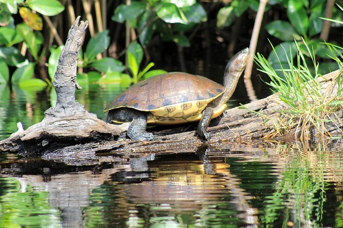 Wildlife Eco Tour on the coast of Oaxaca. - Relaxing at Zipolite Beach