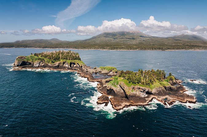 Wildlife Photography Workshop: Sitka Boat Tour (3 hours) - Practical Details: Meeting Point and Group Size