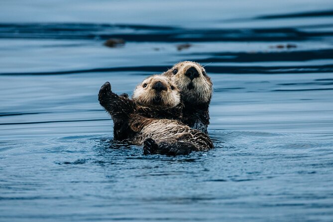 Wildlife Photography Workshop: Sitka Boat Tour (3 hours) - Who Will Benefit Most from This Workshop?