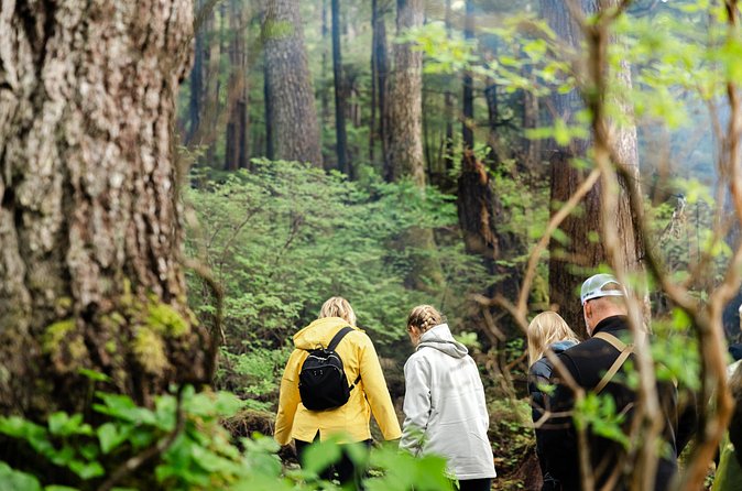 Wildlife Safari and Beach Campfire from Ketchikan - Native Culture and the Significance of the Greeting