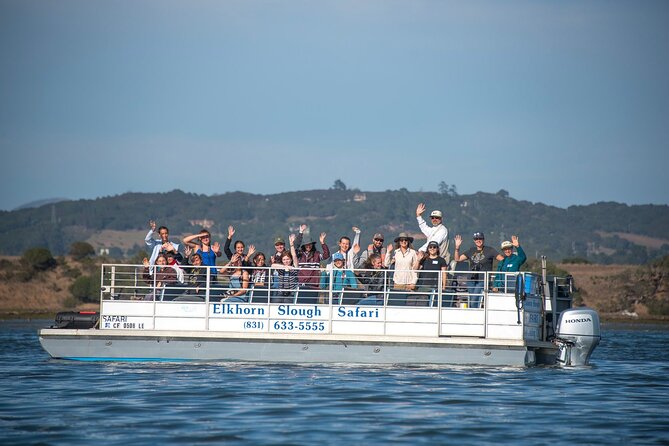 Wildlife Safari Boat Tour in Scenic Monterey Bay Wetland - Key Points