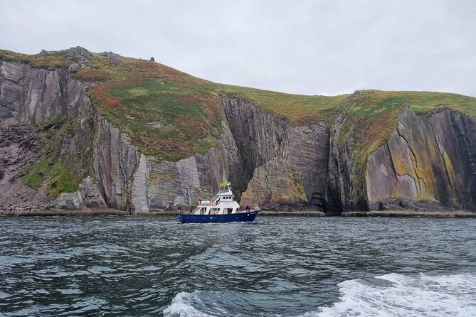 Wildlife Tour - Meeting Point and Logistics in Dingle