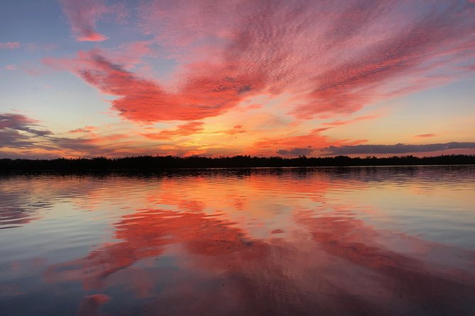 Wildlife Tour of Indian River Lagoon with Experienced Captain - Key Points
