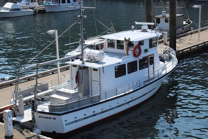 Wildlife Viewing and Whale Watching Quest - Wildlife Viewing Opportunities