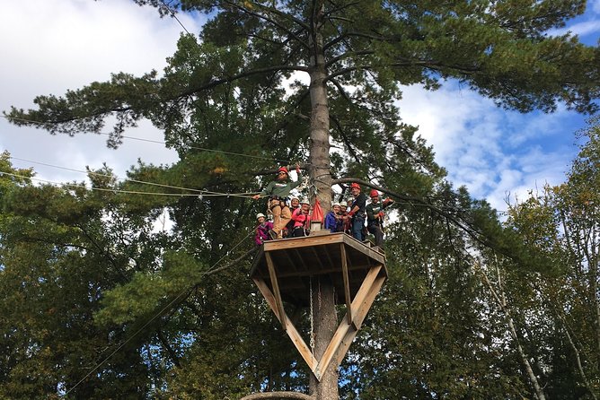 Wildman Zip Line Tour - Who Will Enjoy This Zipline Tour?