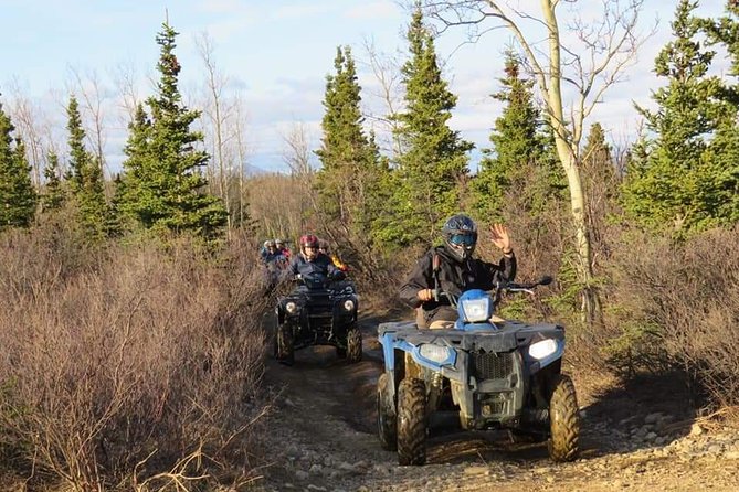 Wilds of Alaska Classic ATV Adventure - Explore the Untamed Wilderness of Denali with the Wilds of Alaska Classic ATV Adventure