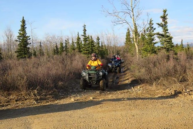 Wilds of Alaska Classic ATV Adventure - Wildlife Viewing Opportunities During the ATV Ride