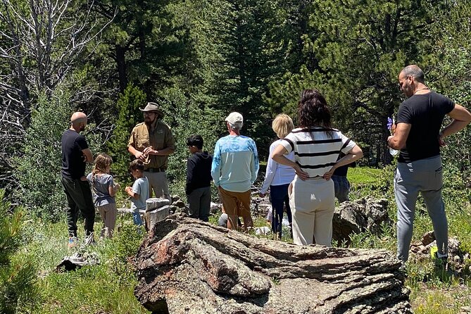 Wildside 4X4's Rock'n Roller Coaster Tour - High-Speed, Thrilling Off-Road Driving