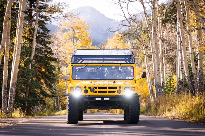 Wildside 4X4's Winter Wonderland Photo Tour - Explore the Rocky Mountains on a Custom 4x4 with Warm Comforts