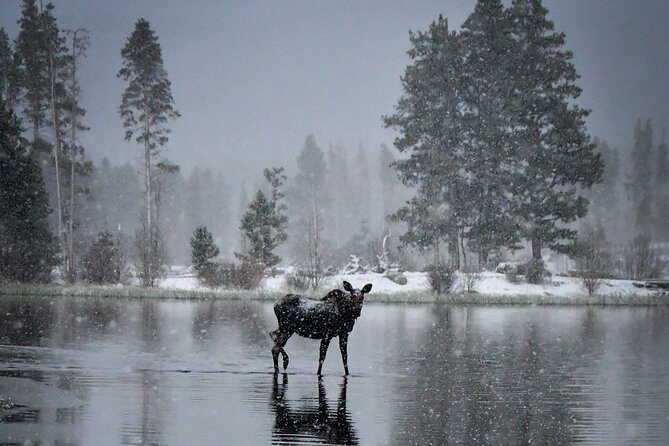 Wildside 4X4's Winter Wonderland Photo Tour - Starting Point and Meeting Arrangements in Estes Park
