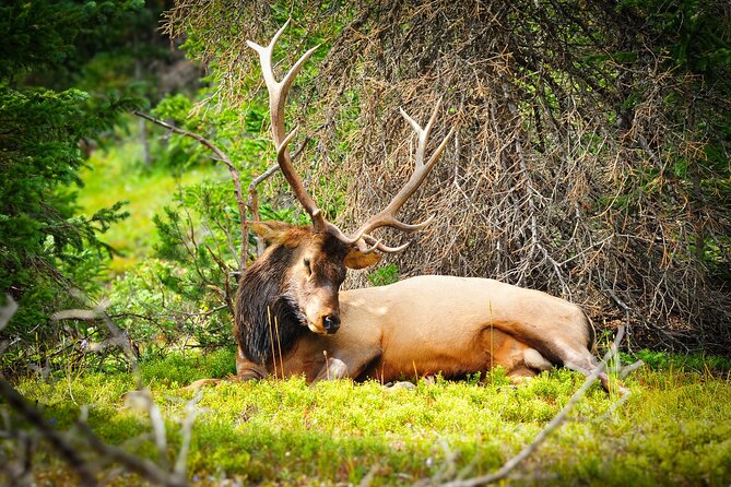 Wildside 4X4's Winter Wonderland Photo Tour - Comfort and Amenities for Cold Weather