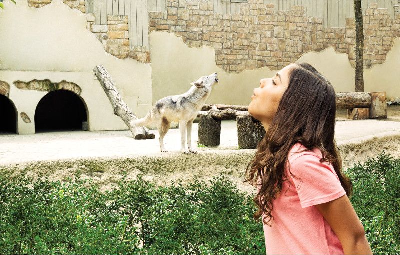 Williamsburg: Busch Gardens Ticket & Water Country Option - Animal Exhibits: Scottish Traditions and Bird Encounters