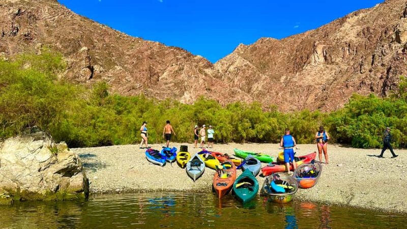 Willow Beach: Emerald Cave Kayaking Tour - Wildlife Sightings and Natural Beauty