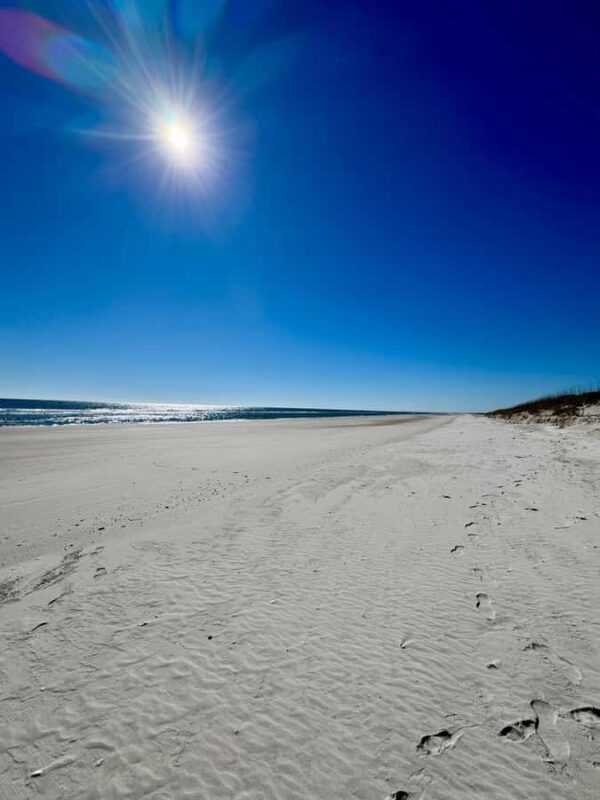 Wilmington, North Carolina: Tour of Masonboro Island - Shell Hunting and Beachcombing Opportunities